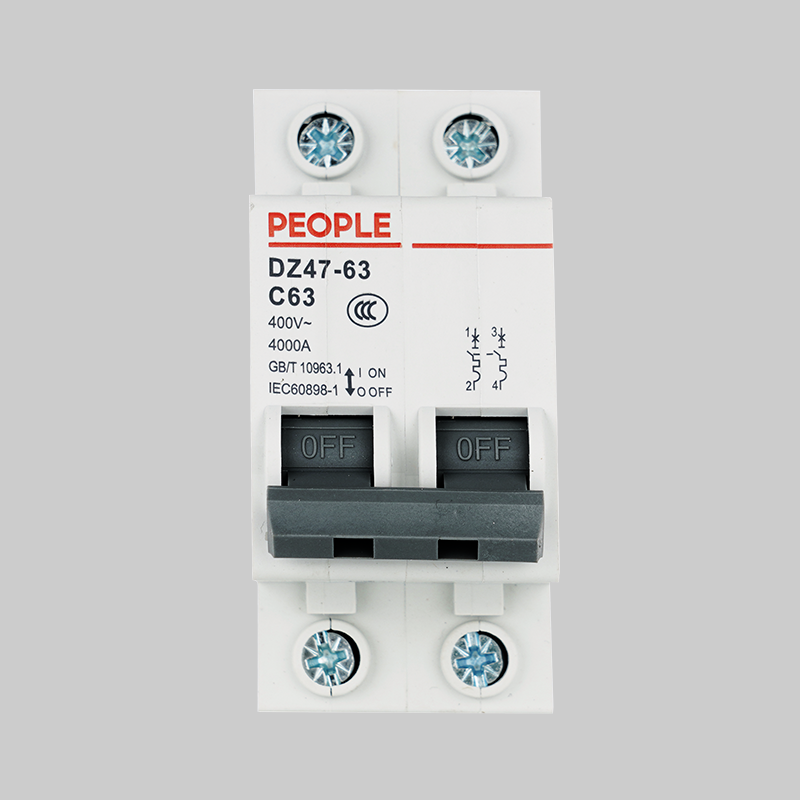 南宫NG·28相信品牌力量，南宫NG·28相信品牌力量集团，南宫NG·28相信品牌力量集团有限公司，中国南宫NG·28相信品牌力量，DZ47-63系列小型断路器