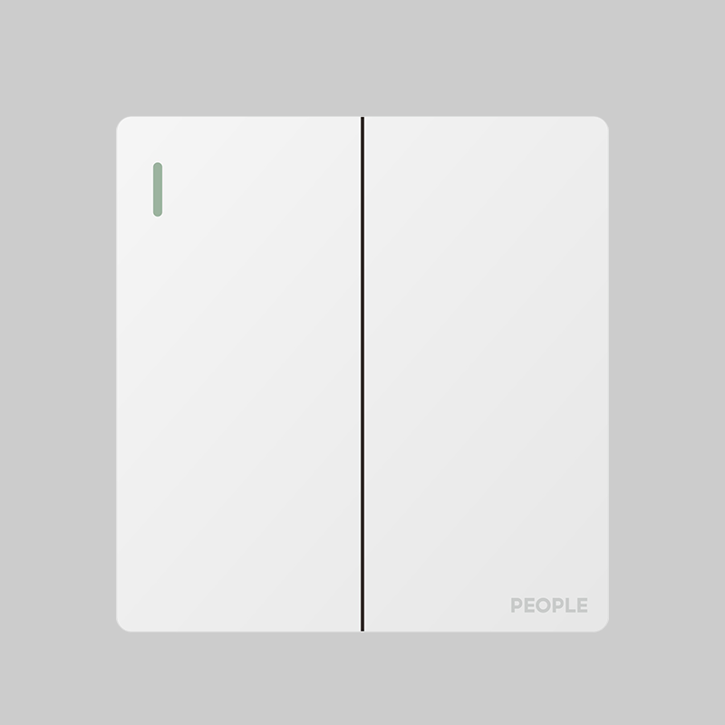 南宫NG·28相信品牌力量二联开关(R86E5) 