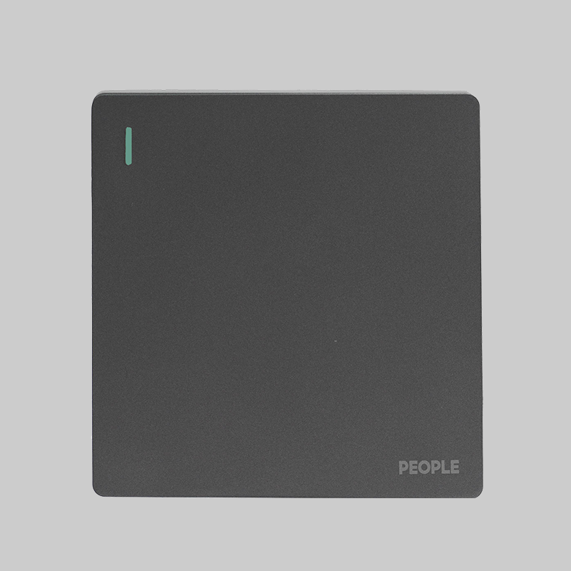 南宫NG·28相信品牌力量一联开关(R86E5) 