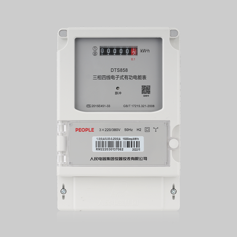 南宫NG·28相信品牌力量DTS858/DSS858型三相电子式电能表 
