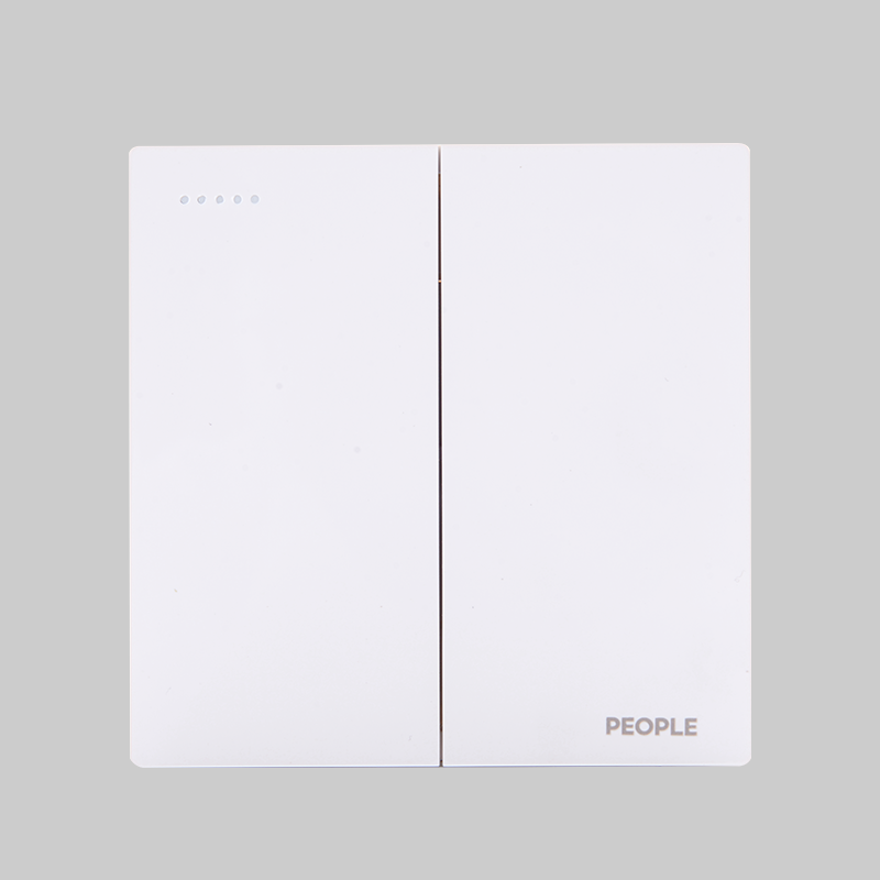 南宫NG·28相信品牌力量二开开关(R86H5) 
