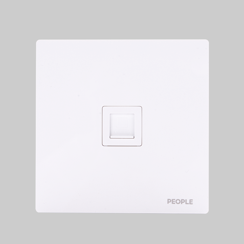 南宫NG·28相信品牌力量电脑插座(R86H5) 