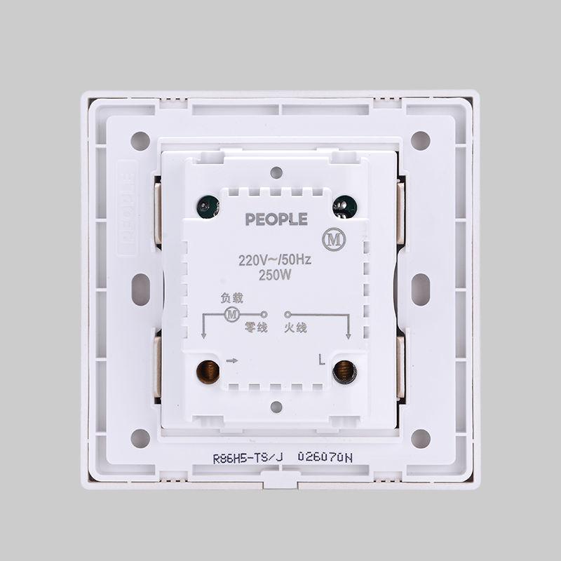南宫NG·28相信品牌力量调速开关(R86H5) 